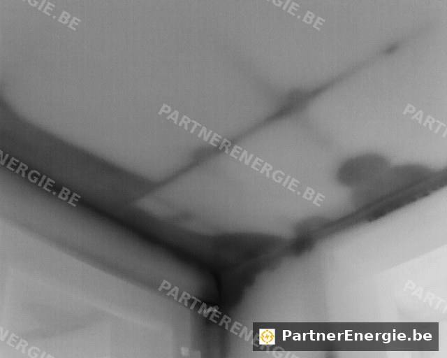 Vue thermique en niveaux de gris d'un angle de plafond — recherche d'humidité — Partner Energie