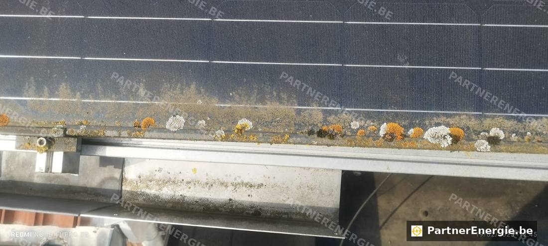 Technicien Partner Energie nettoyant des panneaux solaires en toiture