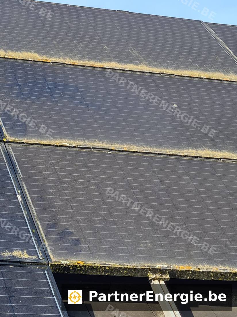 Nettoyage de panneaux solaires à la brosse rotative et eau pure, Hainaut