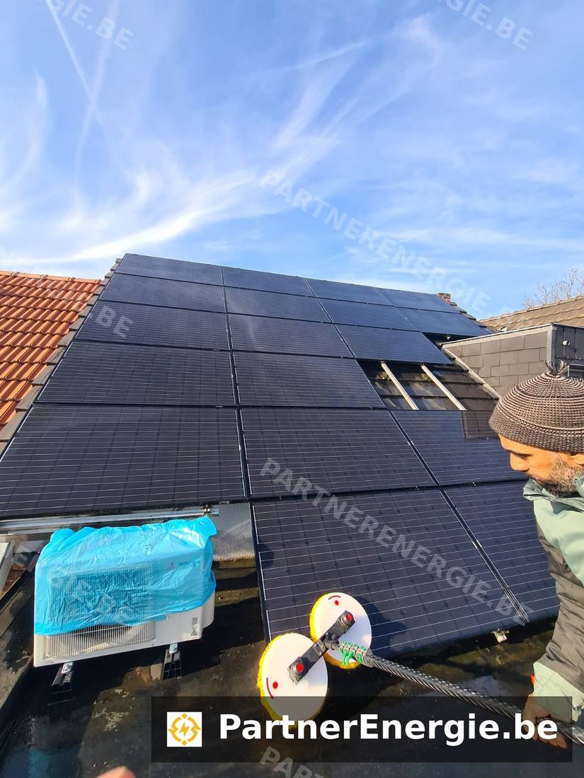 Panneaux solaires encrassés avant nettoyage, lichens en rive