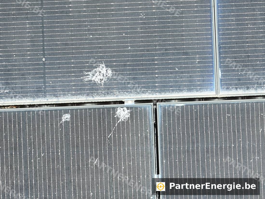 Salissures et fientes sur la surface d'un module solaire — Partner Energie