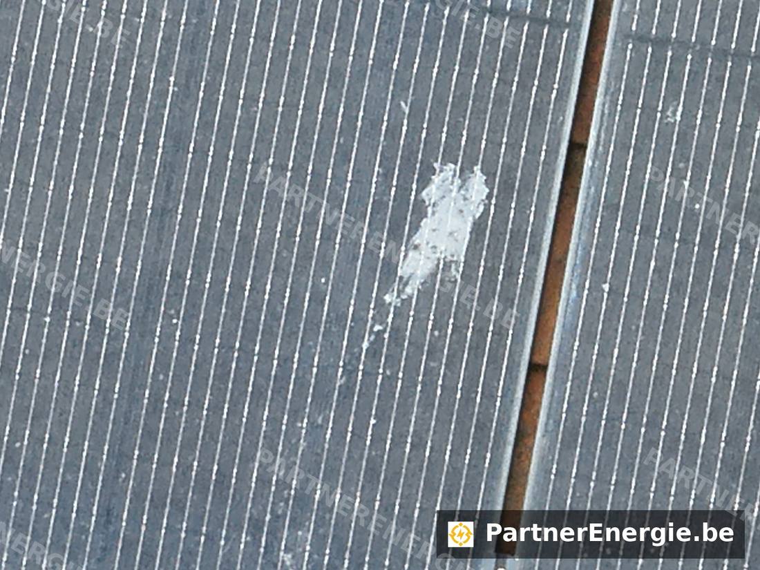 Fientes d'oiseaux visibles sur un panneau photovoltaïque — Partner Energie