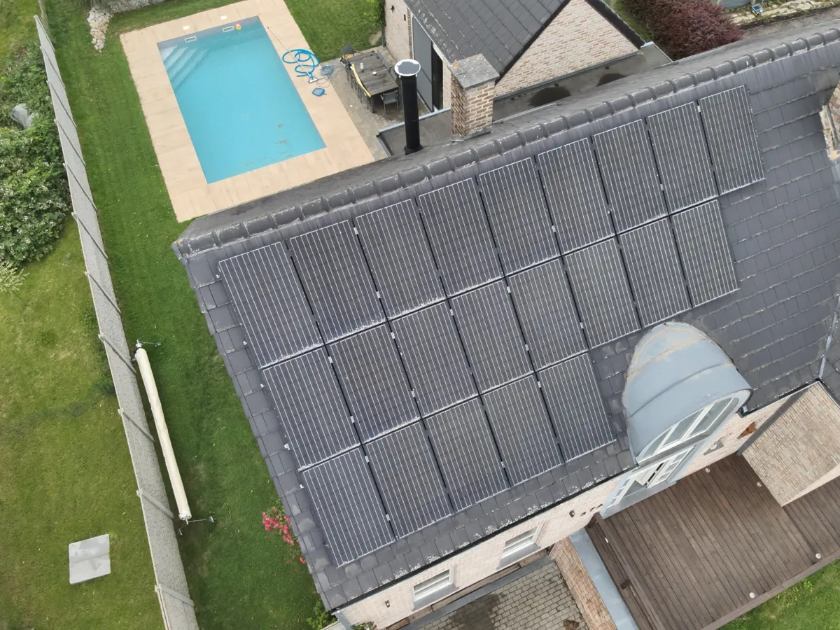 Oiseau perché au bord de panneaux solaires, espace ouvert sous les modules