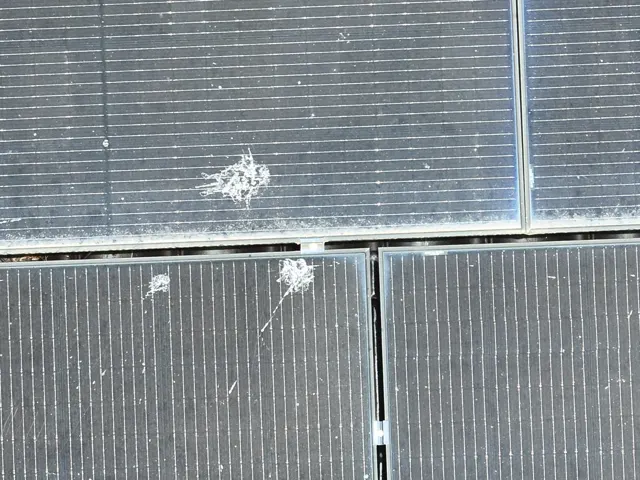 Panneaux solaires posés au sol avec fixations antivol et clôture dans un jardin