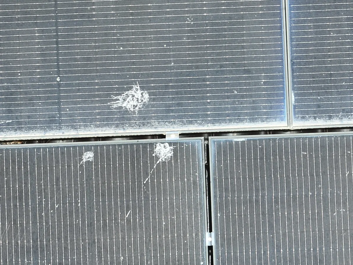 Câble photovoltaïque à gaine rongée sous un panneau solaire, technicien avec multimètre